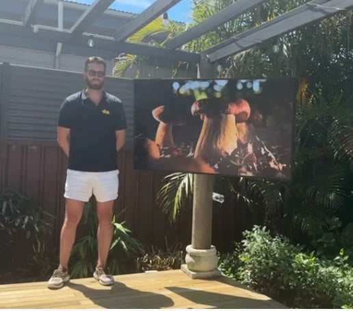 Are Outdoor TVs Waterproof? Your Questions Answered