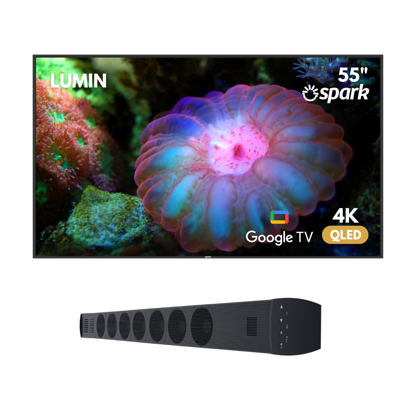 Spark Lumin Outdoor TV 55"