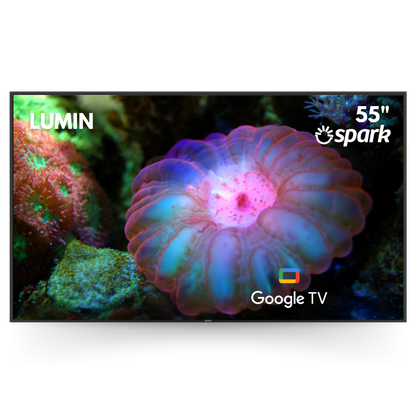 Spark Lumin Outdoor TV 55"