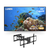 Spark Lumin Outdoor TV 65"