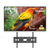 Spark Pavilion 2 Outdoor TV 55"
