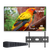 Spark Pavilion 2 Outdoor TV 55"