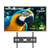 Spark Pavilion 2 Pro Outdoor TV 65"