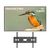 Spark Pavilion 2 Pro Outdoor TV 75"