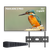 Spark Pavilion 2 Pro Outdoor TV 75"