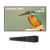 Spark Pavilion 2 Pro Outdoor TV 75"